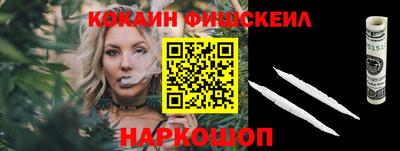 гидра Новодвинск