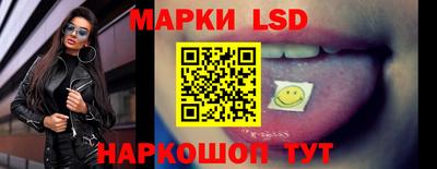 гидра Новодвинск