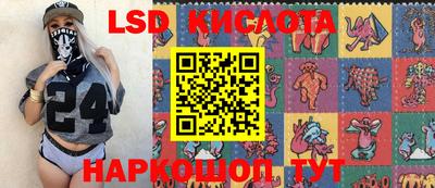 гидра Новодвинск
