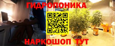 apvp Новозыбков