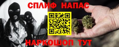 гашик Новокубанск