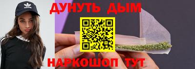 гидра Новодвинск