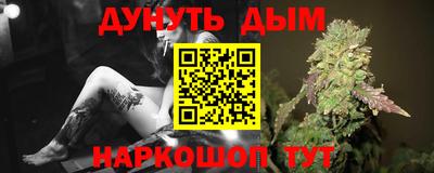 гашик Новокубанск