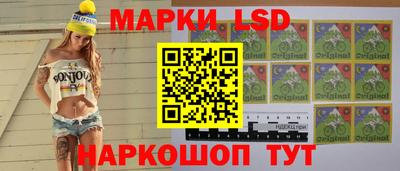 гашик Новокубанск