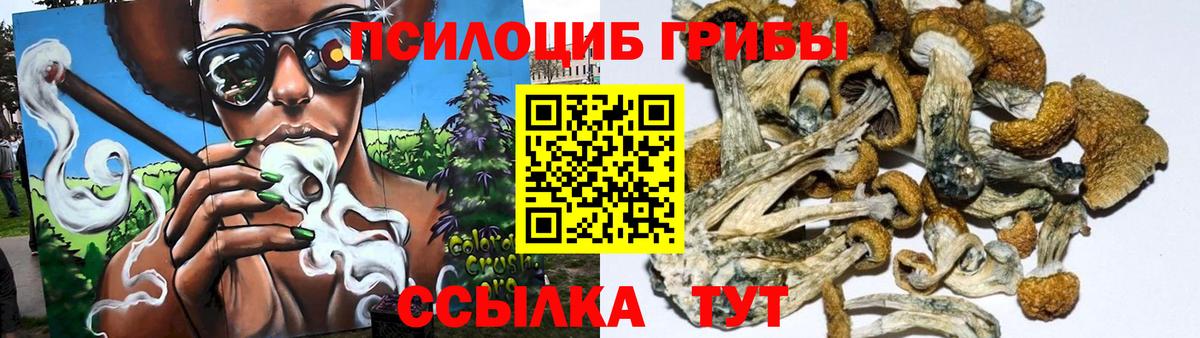 Псилоцибиновые грибы GOLDEN TEACHER Сочи